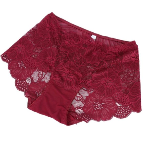 Lace Brief Panties - Picture 8 of 9